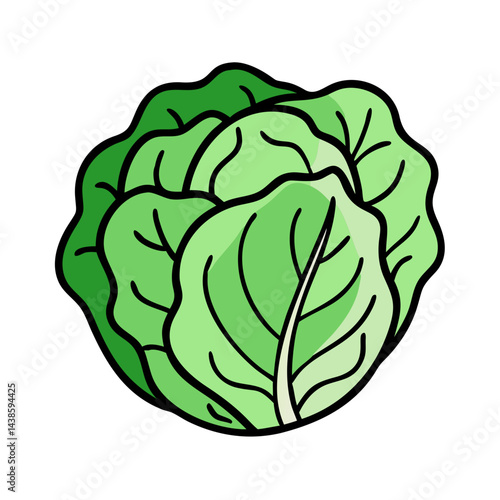 Illustration of fresh green cabbage head for healthy eating and vegan lifestyle concept art