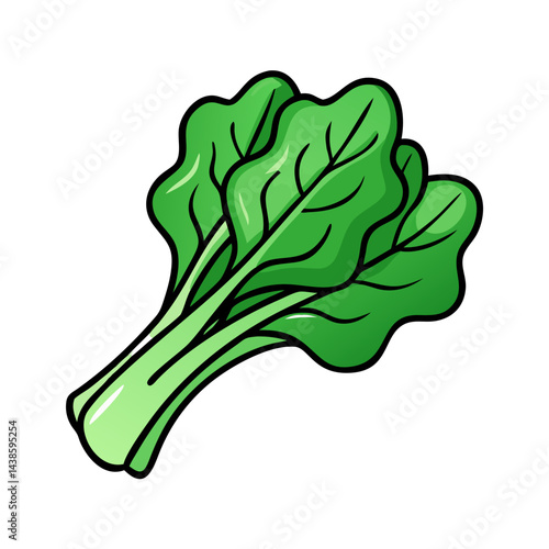 Fresh green bok choy vector illustration for healthy eating and cooking recipes and nutrition guides