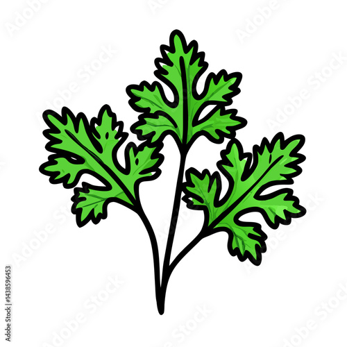 Fresh cilantro herb illustration for cooking recipes and culinary design projects vector graphic