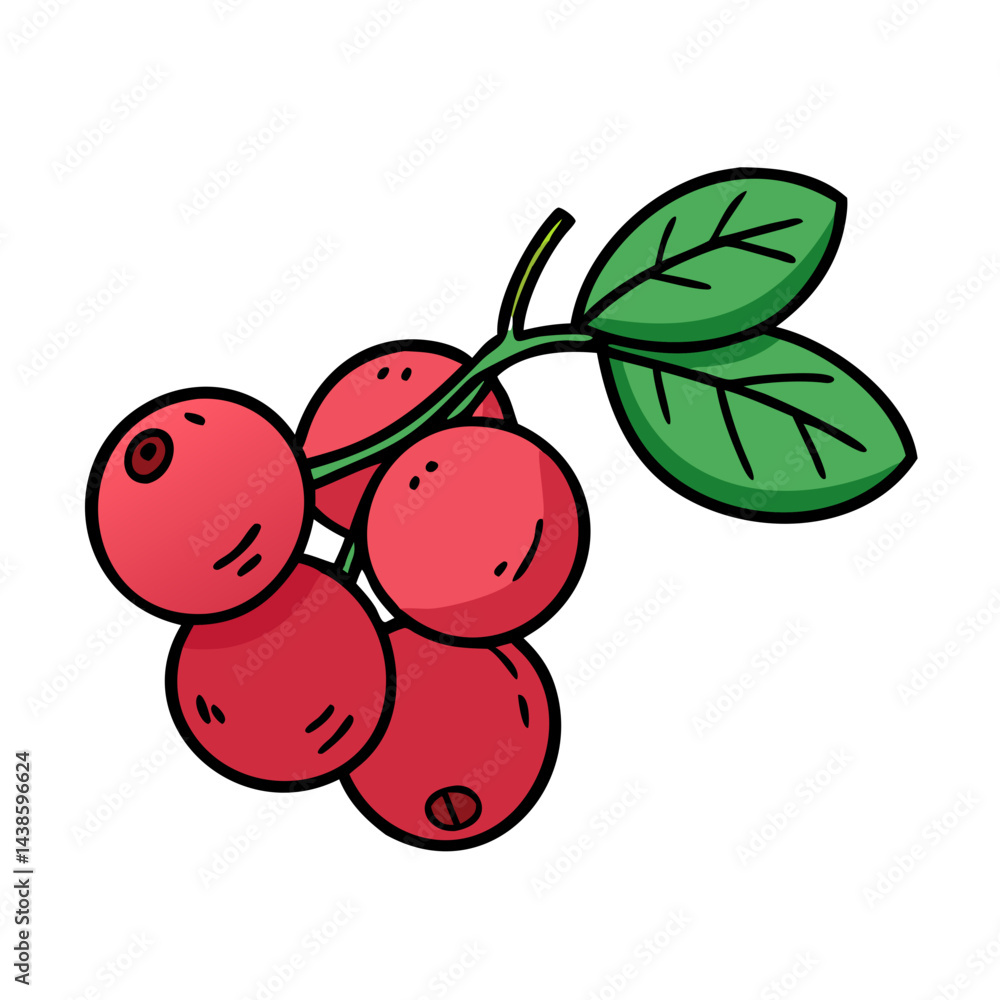 Obraz premium Delicious red lingonberry berries with green leaves lingonberry plant lingonberry fruit food berry
