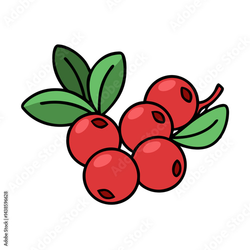 Illustration of lingonberry berries with green leaves, red lingonberry fruit, lingonberry plant illustration