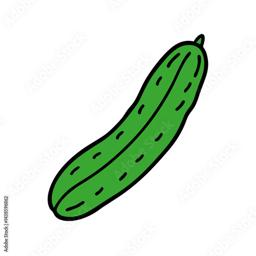 Fresh green cucumber vegetable illustration healthy eating salad ingredient food clip art drawing