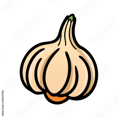 Isolated garlic bulb vector drawing for cooking recipe ingredient and flavor enhancer design element