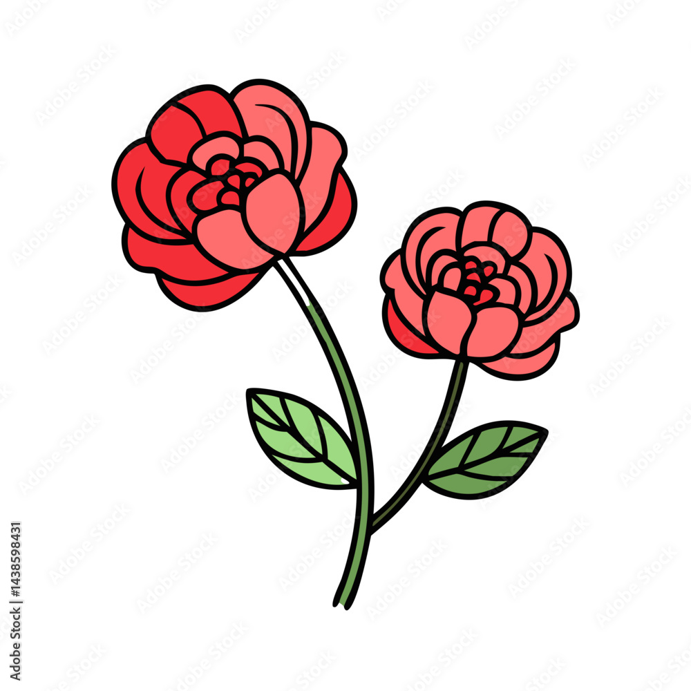 Fototapeta premium Beautiful floral botanical spring summer blossom bloom flower red rose vector illustration drawing art