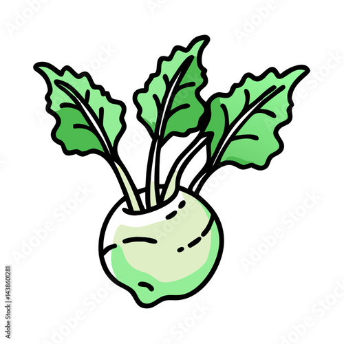 Illustration of fresh kohlrabi vegetable with green leaves and bulb for healthy eating diet