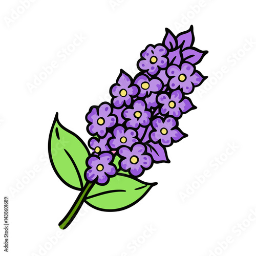 Illustration of a purple lilac flower blossom with leaves spring floral botanical drawing art