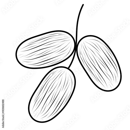 set of nuts isolated
