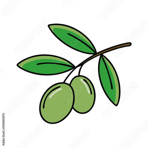 Illustration of fresh green olives on a branch with leaves for healthy food and cooking design use