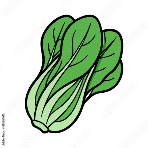 Fresh bok choy vegetable illustration for healthy eating and cooking recipes and nutrition guide