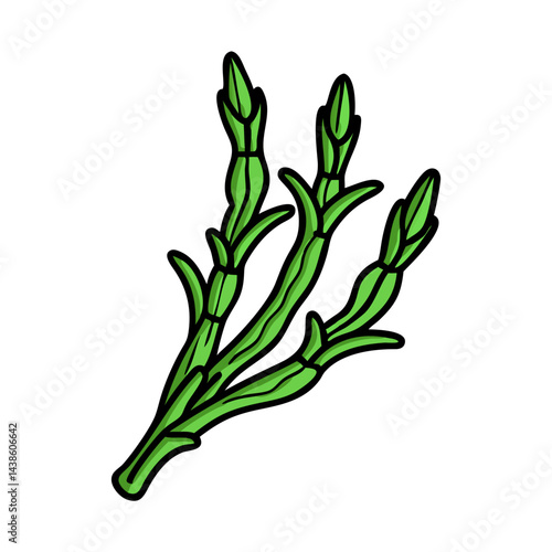 Illustration of green asparagus spears vegetable plant for cooking and healthy eating diet food