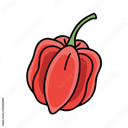 Isolated red habanero pepper vector illustration for spicy food ingredient and cooking concept