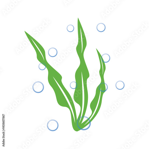 seaweed logo and vector template
