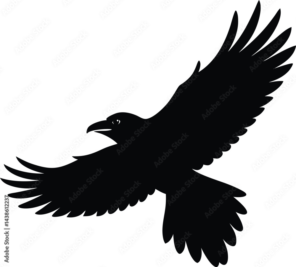 Obraz premium single raven flying