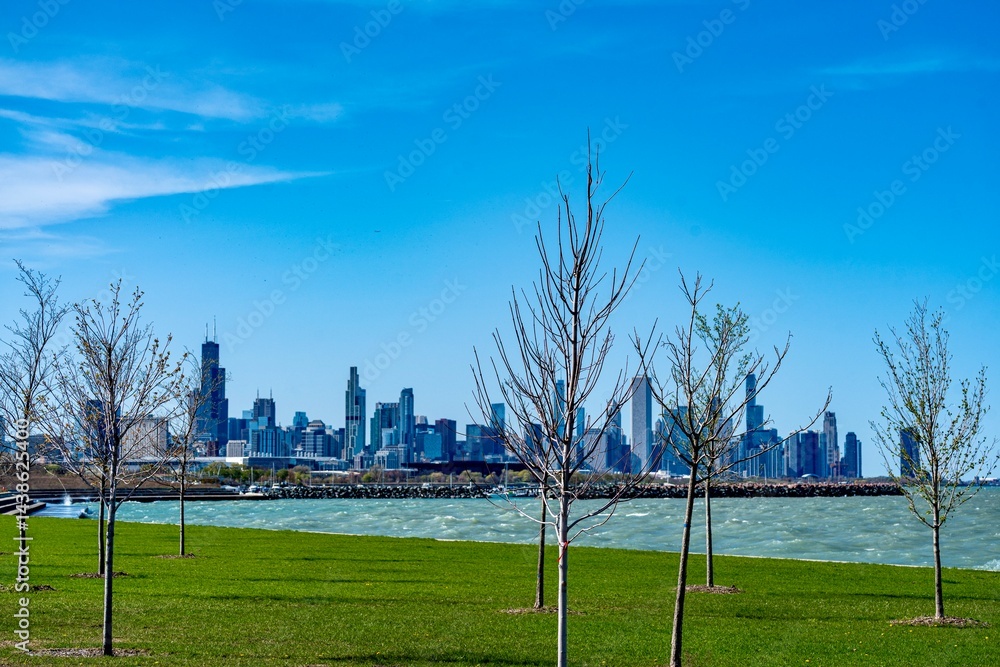 Obraz premium The Skyline of Downtown Chicago and Lake Michigan as viewed from Margaret T. Burroughs Beach along DuSable Lakeshore Drive