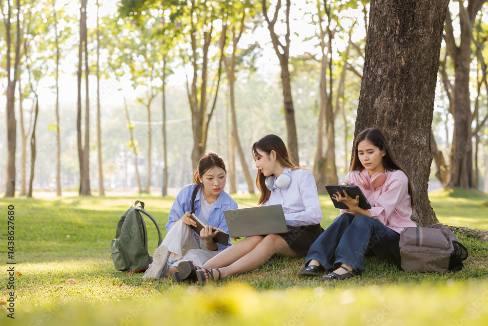 A group of female students sits under a tree in the park, laughing and chatting joyfully together. A group of female students sits under a tree in the park, laughing and chatting joyfully together.