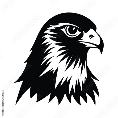Photos Majestic Hawk Head Profile, Black and White Vector Illustration
