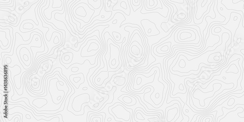 Topographic white and bright light grey stylized line essential for effectively communicating the focus and scope of a map or survey. A well-crafted provides clarity on the geographic area.