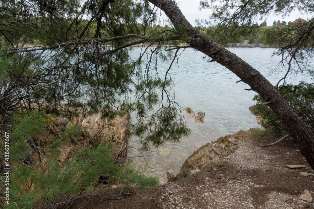 Beautiful scenery by the sea under a cloudy sky in Sithonia, Chalkidiki, Greece