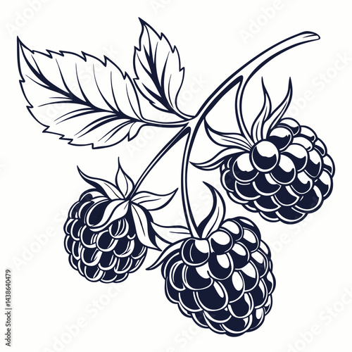 blackberry with leaves