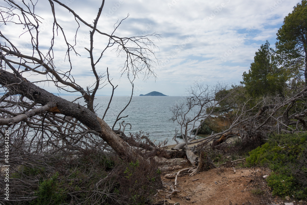 Beautiful scenery by the sea under a cloudy sky in Sithonia, Chalkidiki, Greece