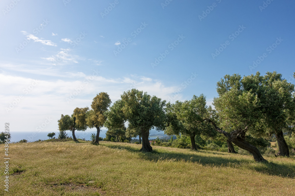 Beautiful scenery by the sea in Sithonia, Chalkidiki, Greece