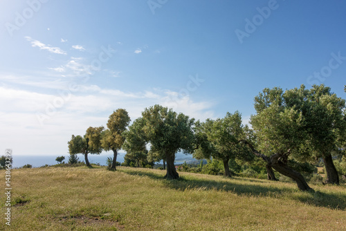 Obraz na płótnie Beautiful scenery by the sea in Sithonia, Chalkidiki, Greece w salonie
