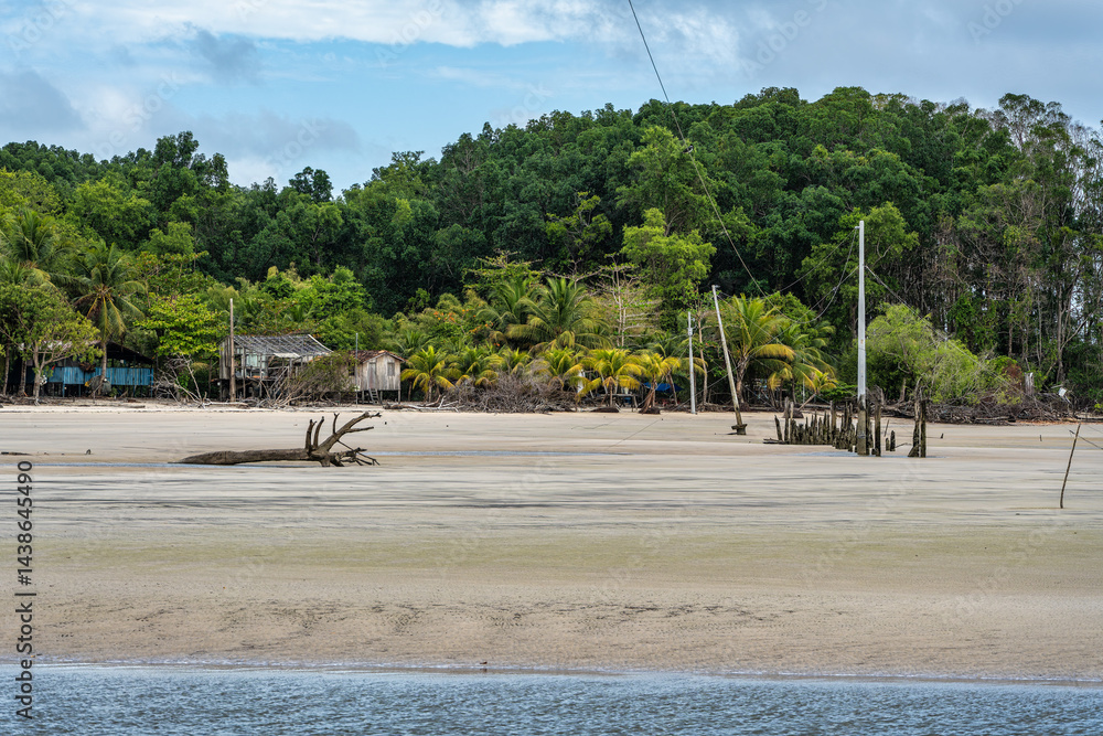 Barra velha beach at Soure, Marajo in Para, Brazil. Beautiful beach and mangrove trees with their great crooked roots