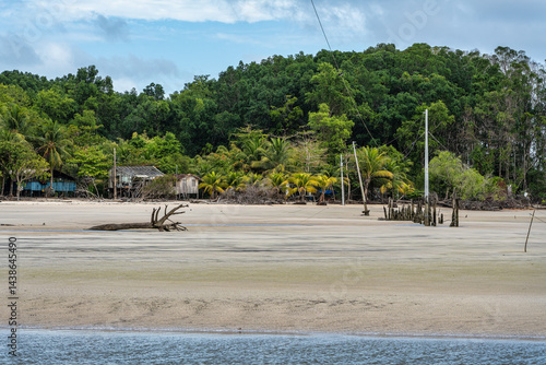 Obraz na płótnie Barra velha beach at Soure, Marajo in Para, Brazil. Beautiful beach and mangrove trees with their great crooked roots w salonie