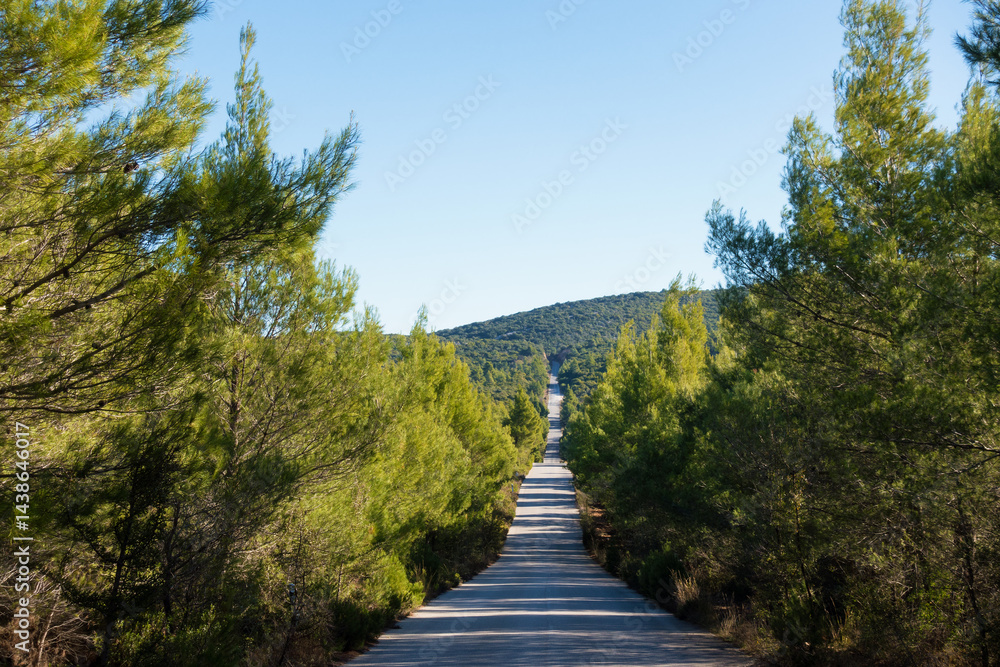 Road through gorgeous mountain scenery in Chalkidiki, central Macedonia, Greece