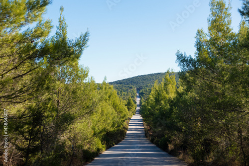 Obraz na płótnie Road through gorgeous mountain scenery in Chalkidiki, central Macedonia, Greece w salonie