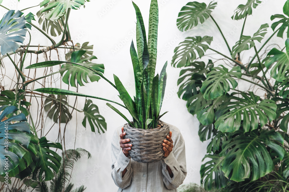A person who is holding a Sansevieria plant surrounded by beautiful tropical foliage