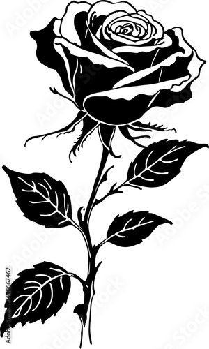 Wallpaper Mural black graphic drawing of a rose flower on a white background, isolated element, decor Torontodigital.ca