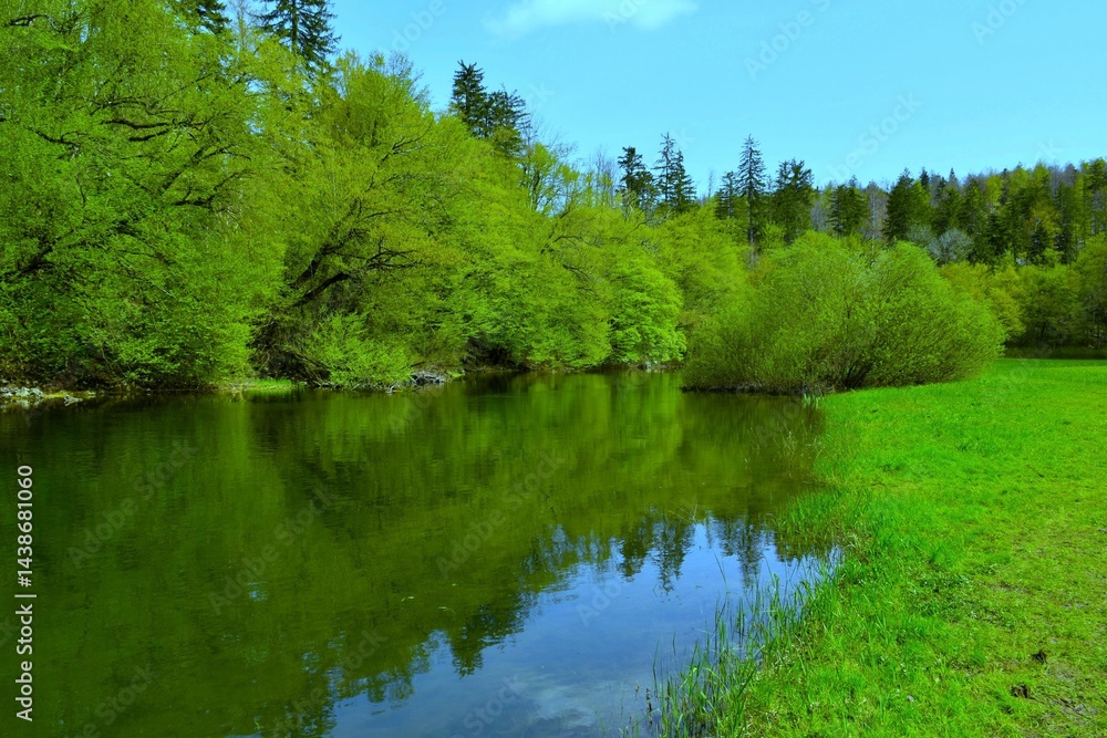 Rak river with forest and a meadow at the shore and a reflection in the water in Notranjska, Slovenia