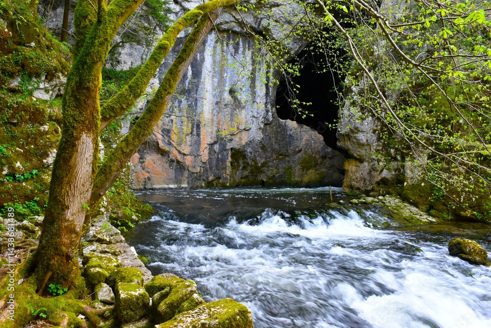 Rak river flowing fro a karst cave in Notranjska, Slovenia