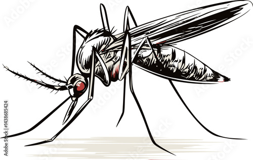 Detailed illustration of a mosquito with red eyes. Vector illustration