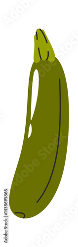 Green zucchini squash hand drawn
