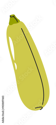 Zucchini hand drawn agricultural vegetable