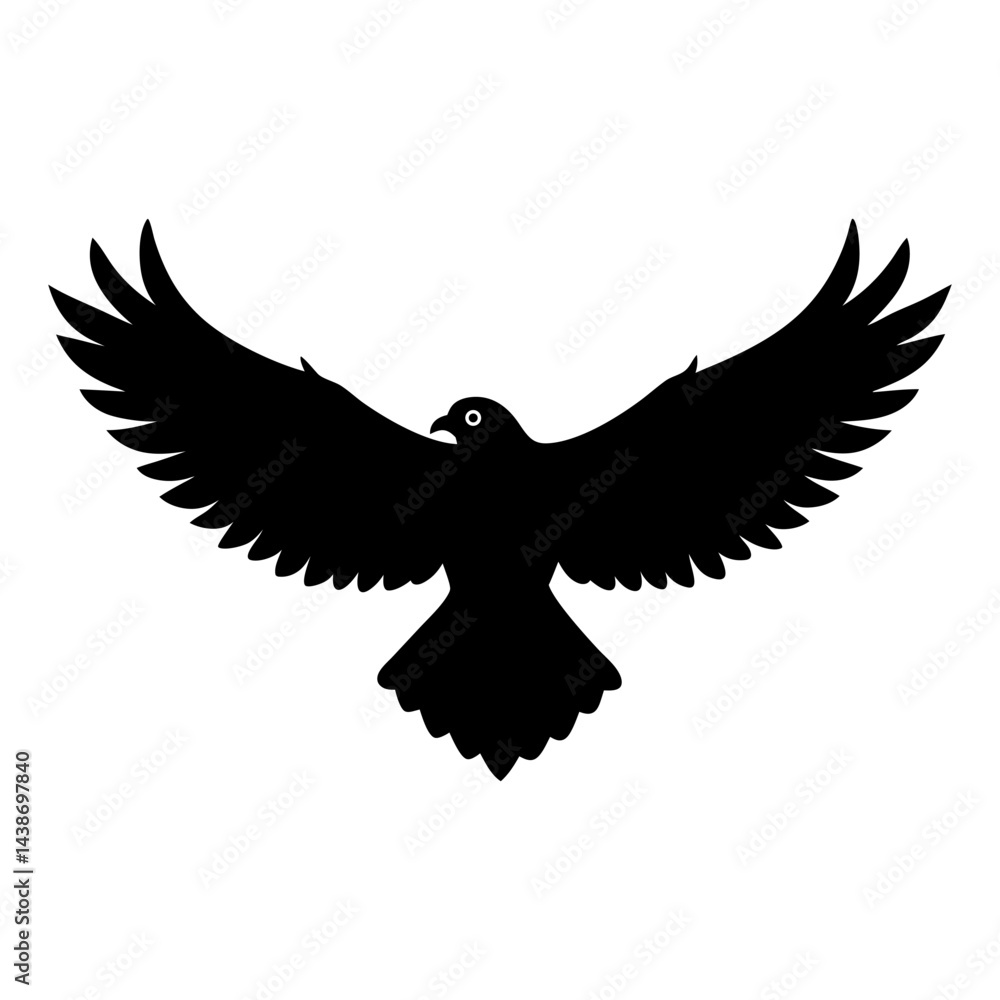 Obraz premium eagle with wings