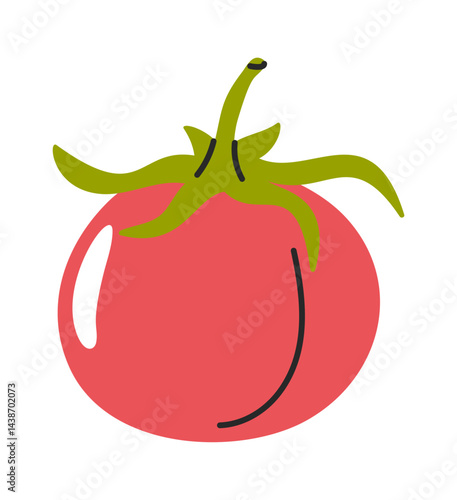 Tomato grocery food hand drawn