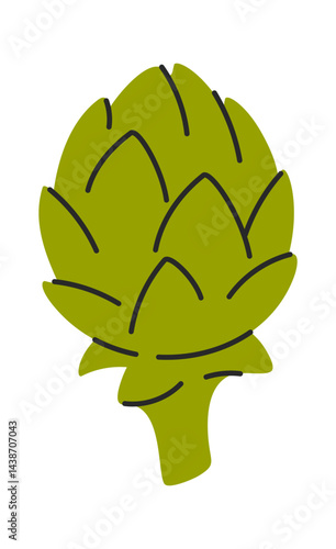 Artichoke green vegetable hand drawn