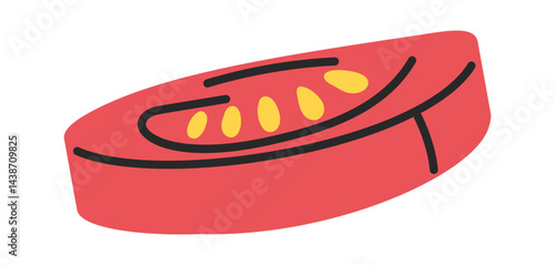 Tomato slice hand drawn vegetable