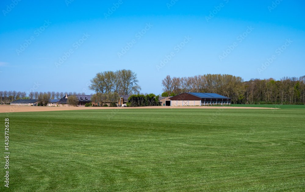 Obraz premium Green meadows and fresh agriculture fields at the Flemish countryside in Elverdinge, Ieper, West Flanders, Belgium