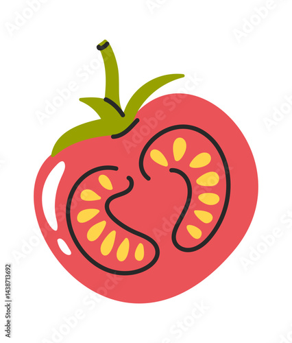 Halved tomato hand drawn vegetable