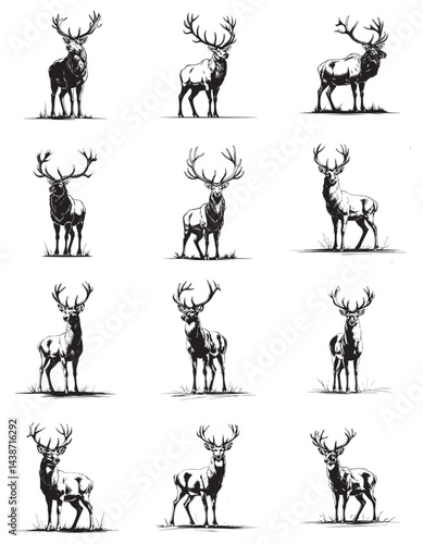 creative vector illustration of deer and elk