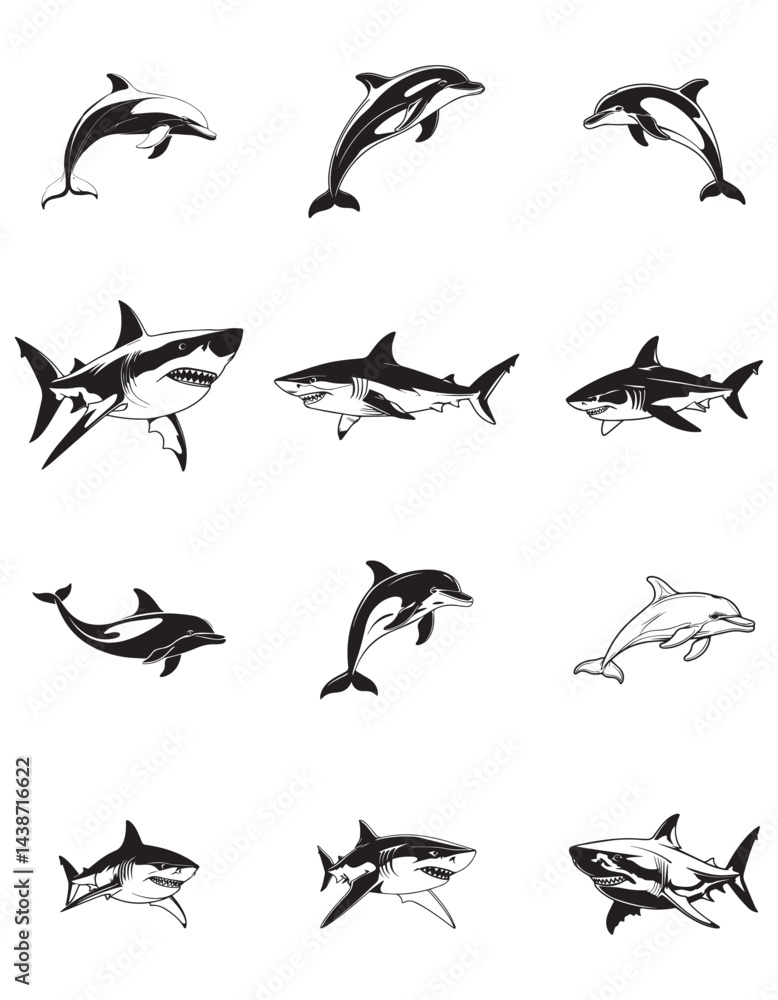 Fototapeta premium creative vector illustration of shark and dolphin