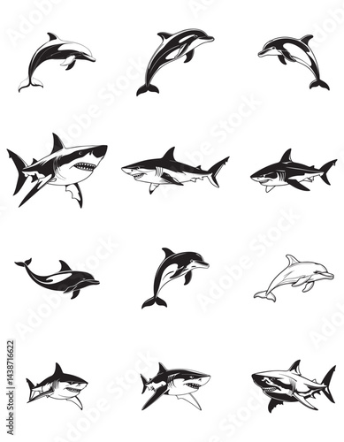 creative vector illustration of shark and dolphin