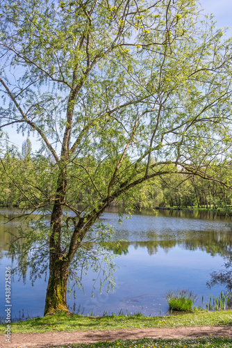 Etang de Cessy