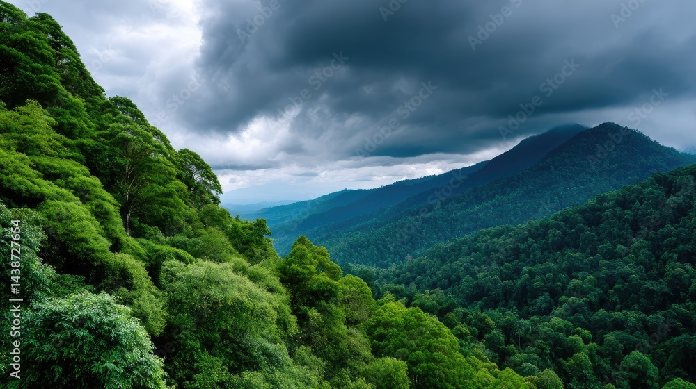 Fototapeta premium Lush mountain valley under stormy sky