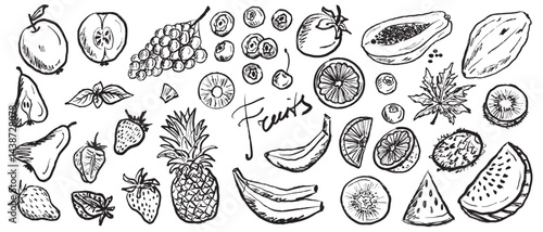 Tropical fruits. Papaya, pineapple, watermelon, blueberry, strawberry, pear designs in black brush stroke texture isolated on white. Hand drawn vector sketch illustration in vintage charcoal ink