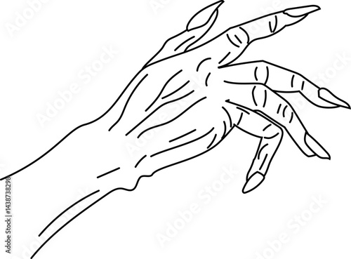 Hand-drawn line art illustration of a witch's creepy hand with sharp nails, perfect for gothic and fantasy art.